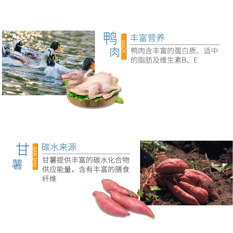 BOTH全犬期全价犬粮15kg 成犬幼犬通用粮小型犬中大型犬B22