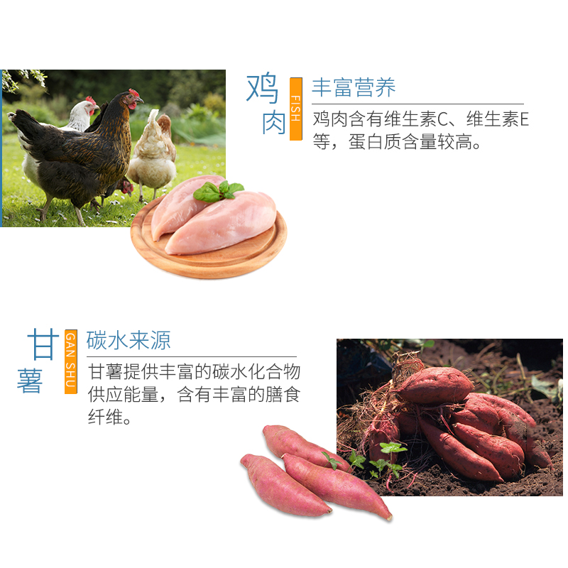 BOTH益生菌猫粮全猫幼猫成猫通用猫粮鸡肉燕麦宠物猫主粮15kg B24