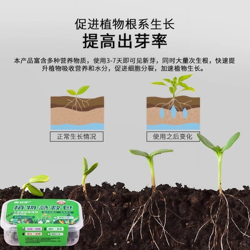 商品详情图片