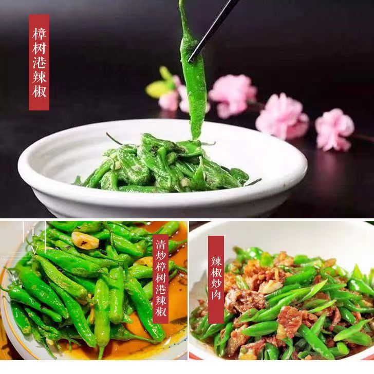 正宗樟树港辣椒椒农自种精品新鲜现摘湘菜下饭菜湖南湘阴特产礼品 - 图0