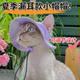 Cat summer sunshade, anti-strangle hat, anti-shedding ears, adjustable rope buckle fisherman hat, pet dog supplies
