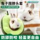 Rabbit Elizabethan ring pet anti-bite collar chinchilla guinea pig anti-scratch and bite collar donut skin disease scarf