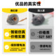 Cat toy simulated mouse plush sounding mouse funny cat stick pet kitten self-pleasure and boredom relief artifact supplies