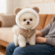 Cute dog clothes for autumn and winter warm fleece jacket with hood Bichon Teddy kitten pet vest plus velvet and thickening