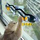 Cat toy suction cup track ball self-entertainment relieves boredom and consumes energy to amuse the cat puzzle adult cat window sill suction cup supplies