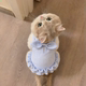 Dog clothes summer thin princess style suspender skirt Teddy Bichon Pomeranian pet cat cute flying sleeve vest