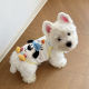 Pet dog clothes spring and summer new cute rabbit doll sling cat Teddy Bichon small dog clothing