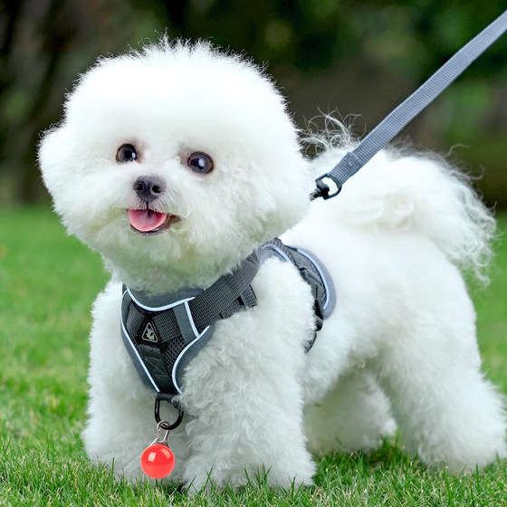Dog leash vest type small dog Bichon harness Teddy Shiba Inu puppy dog ​​chain telescopic dog walking leash