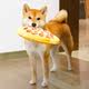 Dog sounding toy teething plush pizza rattle paper
