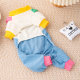 Pet cat clothes autumn and winter anti-shedding thickened flannel four-legged clothes puppet blue cat beautiful short cute transformation clothes