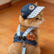 Cat traction rope, specially designed to prevent break-away when going out, cute harness for kittens, cat walking rope, pet traction clothes