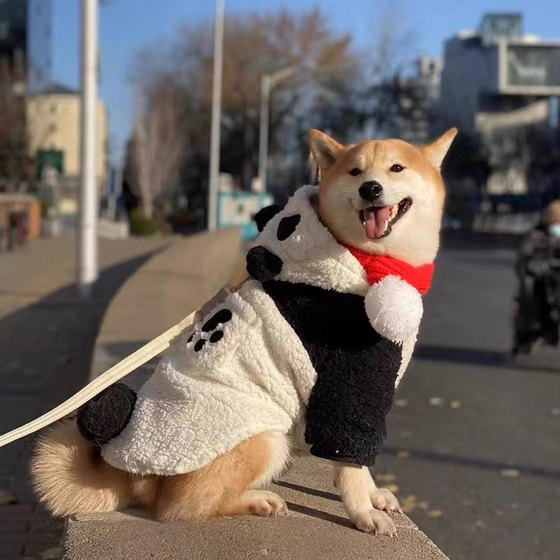 Border Collie Dog Clothing Panda Medium and Large Dog Labrador Winter Samoyed Clothing Pet Big Dog Autumn and Winter Clothing