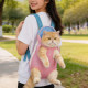 Cat bag, portable and lightweight, cat anti-stress chest backpack, dog backpack, summer high-looking pet supplies