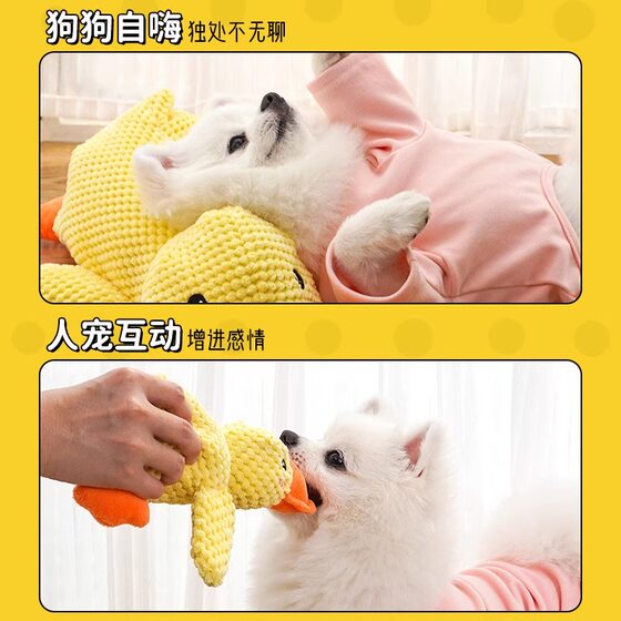 Dog toys sound, bite-resistant, charging duck, small and medium-sized dogs, corgi teddy, pet cat, energy-consuming and boredom-relieving artifact