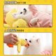 Dog toys sound, bite-resistant, charging duck, small and medium-sized dogs, corgi teddy, pet cat, energy-consuming and boredom-relieving artifact