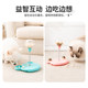 Pet toy ball is a self-pleasure and boredom relief artifact