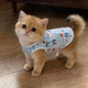 Cat Clothes Summer Vest Thin Anti-Shedding Blue Cat British Short Ragdoll Pet Dog Cool Breathable Sunscreen Shirt