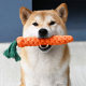 Dog teething toy rope knotted carrot relieves boredom and bite resistance