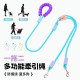 Dog leash, one to two, to prevent entanglement of multiple dogs, dog leash for small, medium and large dogs, double-headed hook dog chain