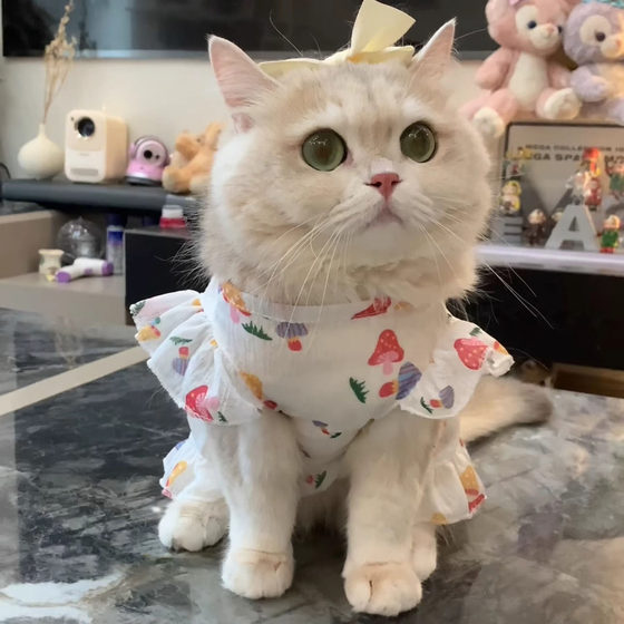 Thin cat clothes for traction, summer breathable princess dress, cute cartoon style pet dog anti-shedding