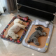 Cat and dog mat and ice pad for cooling in all seasons