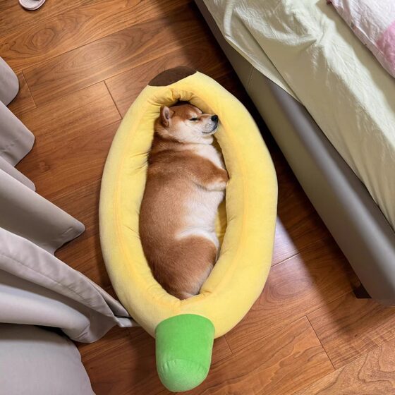 Dog kennel for all seasons, removable and washable large and small dog mats, pet bed, winter warm cat kennel, cartoon banana boat