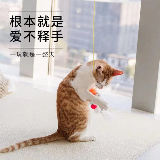 Hanging door swing to amuse the cat with caterpillar feathers