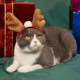 Cat Christmas Headdress Cute Little Red Riding Hood Festive Headband