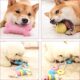 Dog toys chewable teething sticks for puppies Teddy puppies to relieve boredom Corgi small dogs chewing gum balls pet supplies