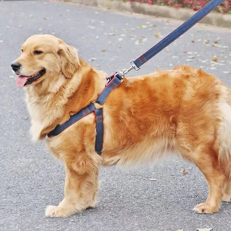 狗狗牵引绳大中小型犬金毛法斗泰迪比熊狗项圈遛狗绳链子宠物用品 - 图2