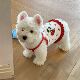 Dog clothes summer thin suspender floral skirt Bichon West Highland small dog pet cat vest anti-shedding