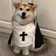 Pet Halloween decoration women's clothing funny cos photo props hoodie British short dog clothes Gothic style