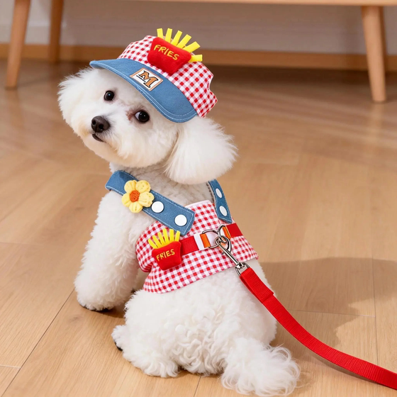 Small dog harness type dog walking leash