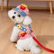 Small dog harness type dog walking leash