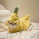 Cat clothes funny banana transformed into autumn and winter velvet thickened puppet British short blue kitten cute hooded costume