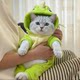 Cat clothes new style flannel with traction buckle plus velvet thickened autumn and winter hooded kitten pet cat four-legged clothes