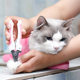 Washing cat bag, bathing cat artifact, injecting and cutting nails, cat bag, cat bathing bag, cat bag cleaning cat supplies