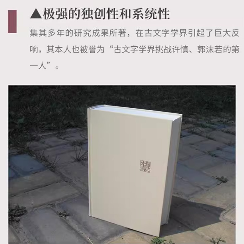 官方正版图说字源（唐汉解字系列）大胆挑战许慎、郭沫若的古今文字学研究者。中国人不可不知的汉字密码，写给每个中正版书籍-图1