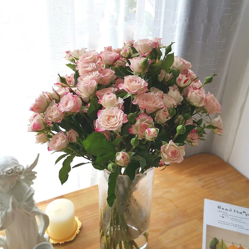 蔷薇多头玫瑰鲜花室内装饰摆放观花家庭插花云南昆明基地直发 - 图2