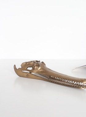 现代轻奢抽象鳄鱼头骨摆件