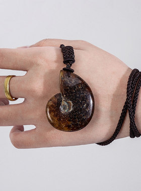 天然车载招财古生物标本送礼吊坠