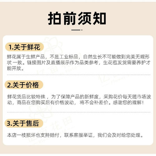 【金枝玉叶黄色玫瑰20支】云南新鲜鲜花全店任意两件顺丰京东包邮 - 图1