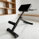Fitness roman chair goat presser