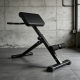 Fitness roman chair goat presser