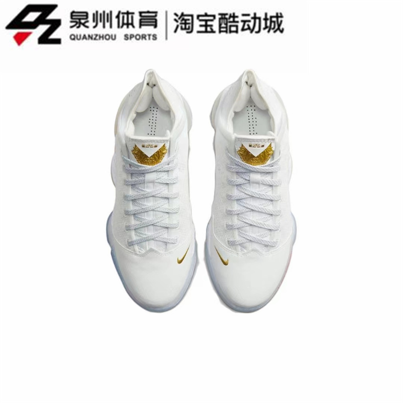 Nike/耐克LEBRON 19 LOW詹姆斯男女实战防滑耐磨篮球鞋DV3334-100 - 图1