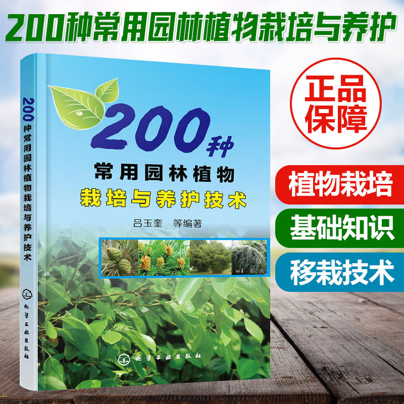 灌木植物乔木 新人首单立减十元 21年8月 淘宝海外