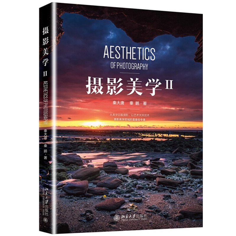 摄影美学Ⅱ+手机摄影从小白到大师共2本  手机摄影入门指导书 新手学摄影教程 手机自拍人像风景拍照方法技巧 拍摄方法和技巧书籍