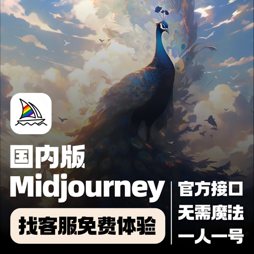 midjourney中文版会员独享账号ai绘画mj充值共享suno代出图luma - 图1