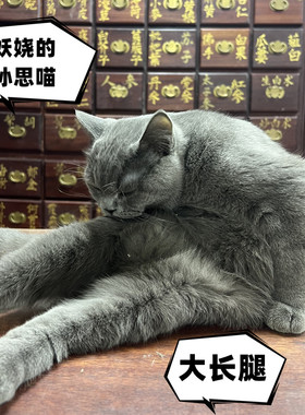 医者心中药材镇店神兽孙思