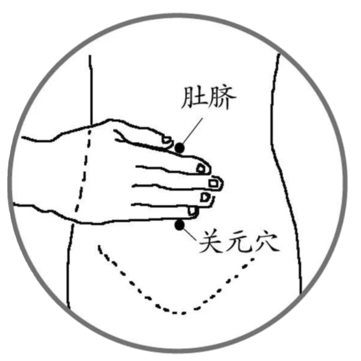 淫羊藿发热贴暖贴所养巴戟天艾草医者正心 - 图3